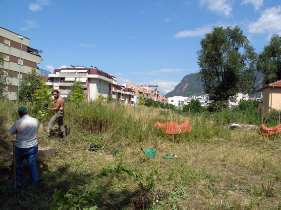 Entwicklung eines urbanen Gartens