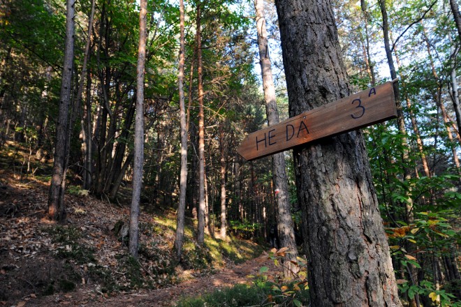 He He He DA DA: Audio poetry walk with Martin Abram. Photo: Ivo Corrà, 2012