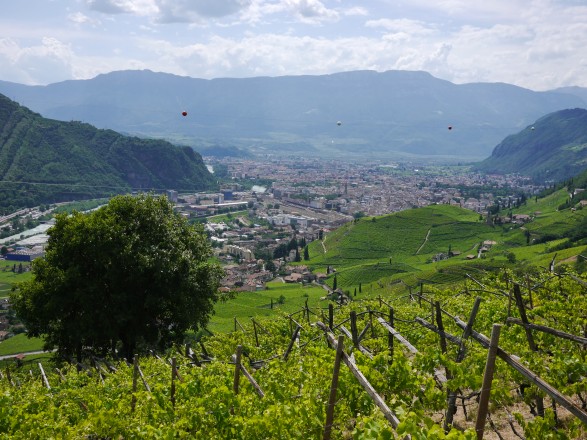 View of Bolzano coming down from Rennon: wine yards, San Magdalena, not dwarfed apple tree, electricity wire, Where on earth do we belong # Moving school of gravity, Sophie Krier, 2018. Courtesy Lungomare.