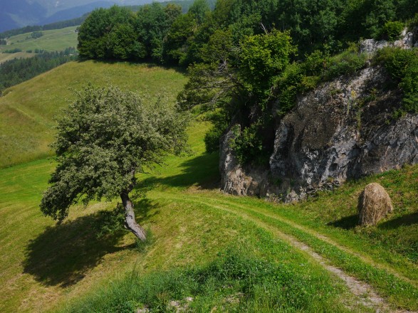 View of the terrain belonging to Speltenzäunebauer Norbert Gamper in Feldthurns. Where on earth do we belong # Moving school of gravity (preliminary fieldwork), Sophie Krier, 2018. Courtesy Lungomare.